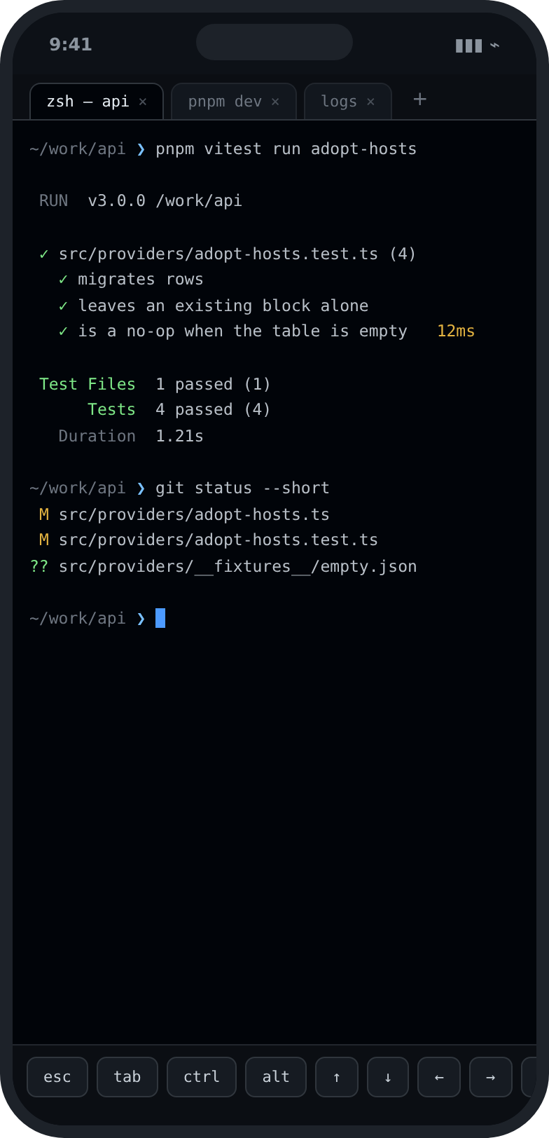 The Terminal screen: a shell on the host running the workspace tests, with the command and its output.